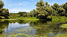 Nová CHKO Soutok, oblast Pohansko
