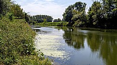 Nová CHKO Soutok, oblast Pohansko