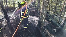 V národním parku eské výcarsko v pondlí hoel les. (30. ervna 2025)
