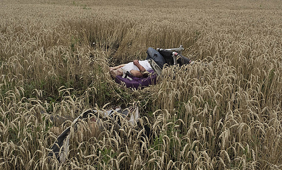 Donbas. Tlo pasaéra ze sesteleného letu MH17 (18. ervence 2014) 