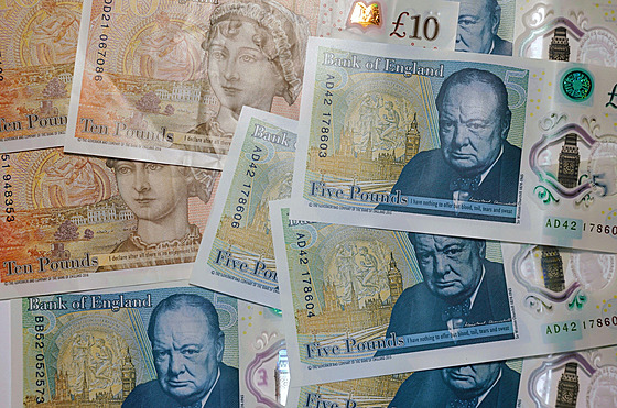 Slavné osobnosti na zadní stran britských liber v budoucnu moná nahradí nový...