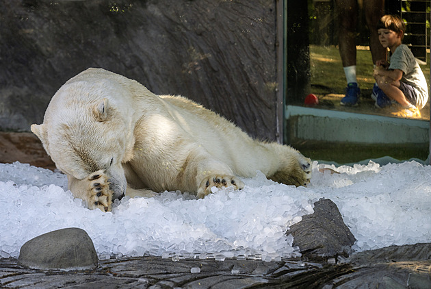 Místo ohňostroje slevy na památky či zoo. Praha nabízí výhodné vstupné