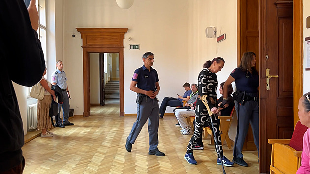 Jen jsem se bránila, řekla žena viněná z vraždy muže při hádce o kuřecí stehna