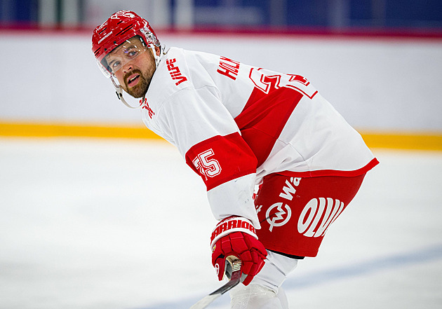 Litvínov i v těžkých časech posiluje, získal švédského útočníka Holmströma