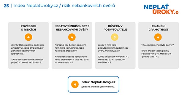 Nebankovn vry asto oebra nzkopjmov domcnosti