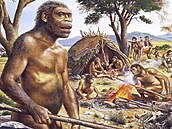 Ohe znal. Ale pouívat ho na peení by pro Homo erectus byl luxus, míní studie.