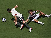 Pedro Neto sleduje mí, Guga sleduje Pedra Netu.