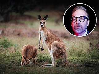 Anglicky kangaroo. N�mecky Känguru. �pan�lsky canguro. Rusky kenguru. I polsky...