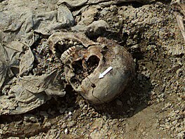 Bosenskosrbské jednotky v bezpené zón Srebrenica povradily asi osm tisíc...