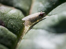 Situace je velmi váná a jim to asi nedochází. Potebujeme co nejdíve...