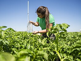 kdci se íí pedevím kvli poasí. Horká léta a mírné zimy pro n vytváejí...