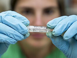 Rychlé íení a nákaza zemdlských plodin vede ke znaným ztrátám na úrod....