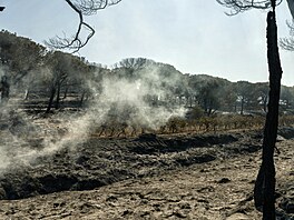 Hasi�i zasahují u po�áru nedaleko Bizanetu v ji�ní Francii. (30. �ervna 2025)