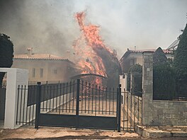 P�i po�áru v oblasti Thymari v Palaia Fokaia, asi 50 km jihovýchodn� od Atén,...