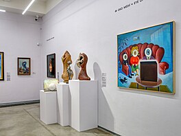 Museum Kampa pedstavilo výstavu Z oí do oí - OKO v umní. (27. ervna 2025)