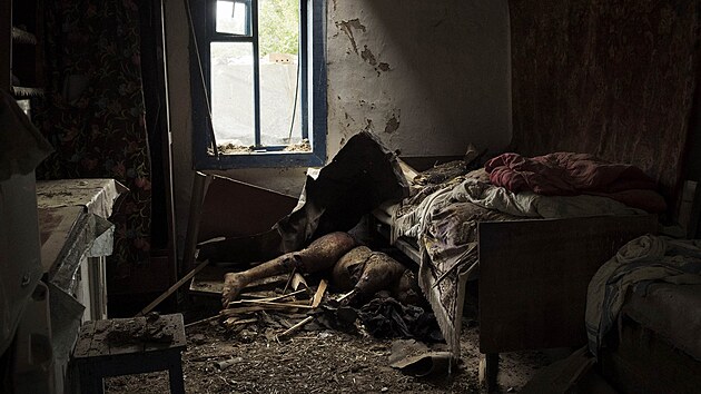 Rozsypne. Tlo jednoho z pasar sestelenho letu MH17 v domku na vchod Ukrajiny, kam propadlo stechou  (18. ervence 2014)  