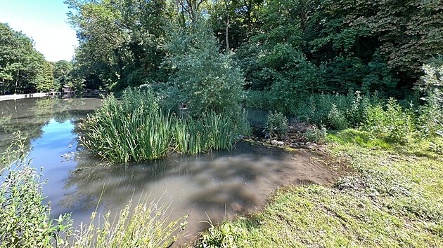 Mvalov si oblbili lokalitu u rybnk v Peruci na Lounsku a na zdej prod je to hodn znt. (erven 2025)