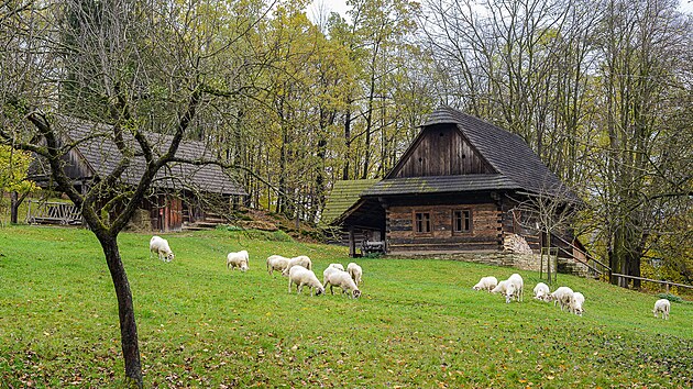 Historicky byl region Beskyd ur�en p��tomnost� Valach� � pastevc�, kte�� p�vodn� poch�zeli z�jihov�chodn�ch Karpat a na Vala�sko p�i�li na sklonku st�edov�ku. Foto je z Vala�sk�ho muzea v�p��rod� v�Ro�nov� pod Radho�t�m.
