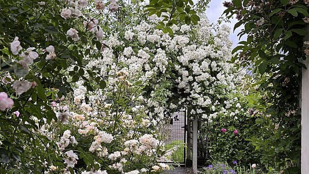 Vt vs pnouc re Bobbie James", rate vstoupit.