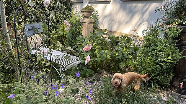 Romantick zkout pod okny