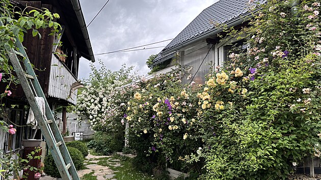 Dvorek malebnho domeku schovanho v moi z r