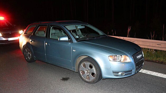 idi pronsledovanho vozu Audi s francouzskou znakou zmizel policejnm hldkm nedaleko erpac stanice.
