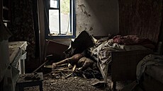 Rozsypne. Tlo jednoho z pasaér sesteleného letu MH17 v domku na východ...