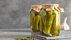 Kdy tvrdá mna scházela, vypomohli si soudruzi z  Nmecké demokratické...