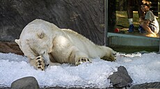 ilustra�ní snímek