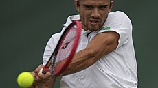 Tomá Machá v prvním kole Wimbledonu