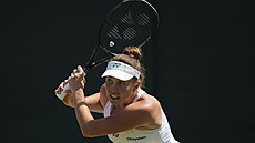 Linda Nosková ve tetím kole Wimbledonu
