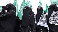 Turci a Turkyn� v Istanbulu protestují proti karikatu�e v �asopisu LeMan, která...