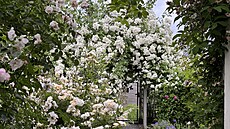 Vítá vás pnoucí re Bobbie James", rate vstoupit.