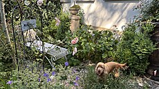 Romantické zákoutí pod okny