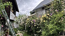 Dvorek malebného domeku schovaného v moi z rí