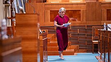 �éfka senátorského klubu ANO Jana Mra�ková Vildumetzová p�i  jednání Senátu (3....