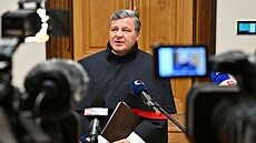 Ústavní soudce Jií Pibá odpovídá na dotazy noviná poté, co Ústavní soud...