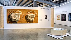 Kvtinové oi od Salvadora Dalího v Museu Kampa, které pedstavilo novou...