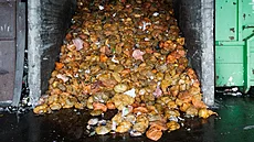 Inovativní projekt vyuívající schopnost larev zkonzumovat tuny zbytk a...