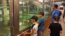 V protivínské krokodýlí zoo mají pes prázdniny oteveno kadý den od 10 do 17...