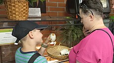 Protivínská zoo chová pes dvacet druh. Návtvníci si mohou prohlédnout i...