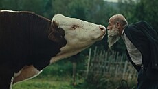 Zábr z filmu Radji zeílet v divoin