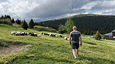Cílem pastvy není jen udret tradiní zpsob hospodaení, ale pedevím...