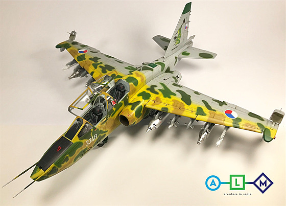 Suchoj Su-25UBK Double Frog-Double Fun