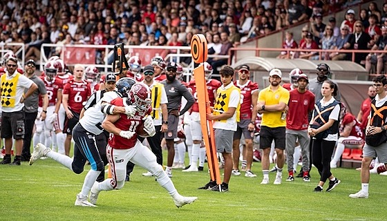 Lions v ELF smoln prohráli s Panthers. Nyní je eká poslední tým ligy