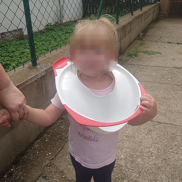 Stedoetí hasii v pátek vyjídli k neobvyklému pípadu. V Boanovicích,...