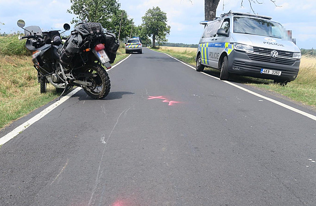 Jedenatyicetiletému motorkái skoil do cesty pes. Zvíe zachránil, ale sám...