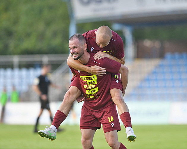 Moulis: Na „psy“ nám to nešlo. Proti fotbalovým týmům je to lepší