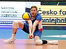 esk reprezentant Martina Licek