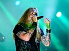 vdsk kapela Hammerfall na festivalu Masters of Rock ve Vizovicch. (ervenec...